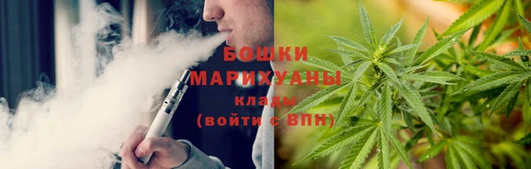 ГАЛЛЮЦИНОГЕННЫЕ ГРИБЫ Алексин