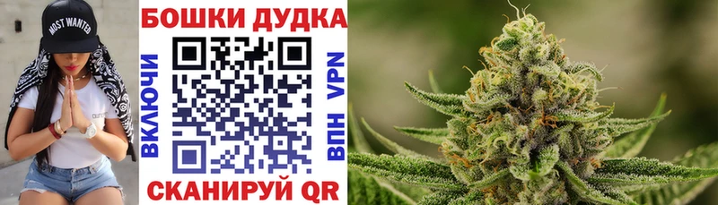 MEGA сайт Вихоревка Каннабис AK-47